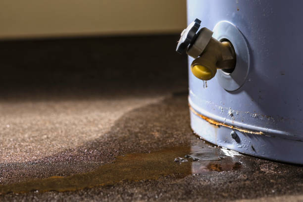 Best Flooded house restoration  in Peach Springs, AZ
