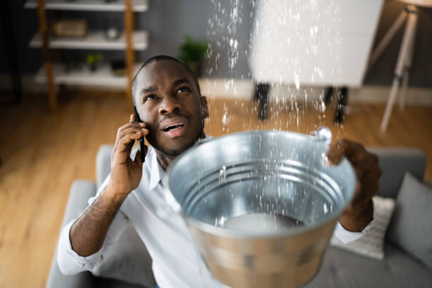 Best Commercial water damage restoration  in Peach Springs, AZ