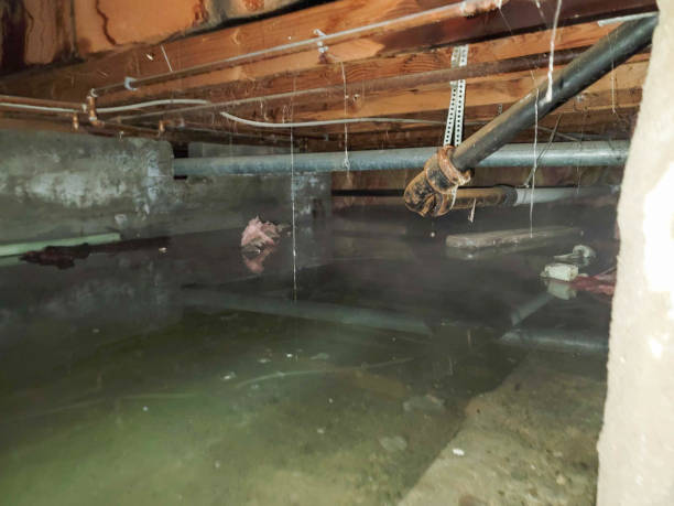 Best Emergency water damage restoration  in Peach Springs, AZ
