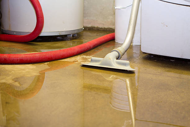 Best Flood restoration services  in Peach Springs, AZ