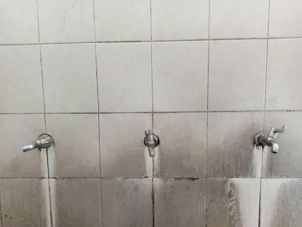 Best Local water damage restoration  in Peach Springs, AZ