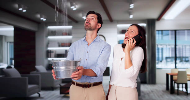 Best Water damage restoration near me  in Peach Springs, AZ