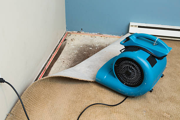 Reliable Peach Springs, AZ Water damage restoration Solutions